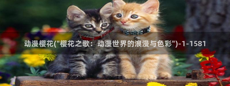 《樱花动漫》免费观看：动漫樱花(\