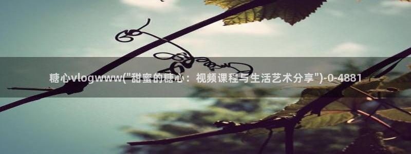 糖心vlog苹果手机下载：糖心vlogwww(\