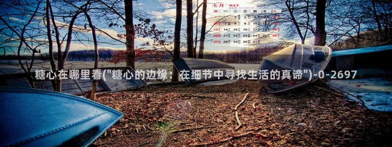 糖心的vlog日常：糖心在哪里看(\