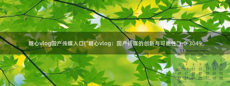 糖心vlog中国：糖心vlog国产传媒入口(\