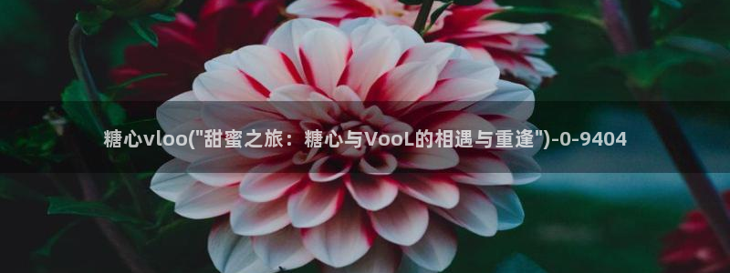 糖心vlog官网下截：糖心vloo(\
