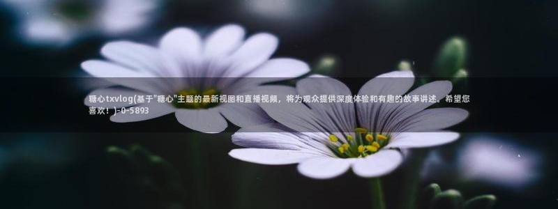 糖心vlog怎么免费观看：糖心txvlog(基于\