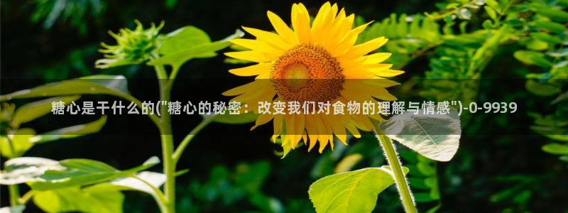 糖心vlog网站进入：糖心是干什么的(\