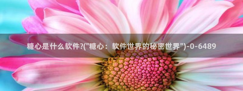 芋圆糖心vlog视频