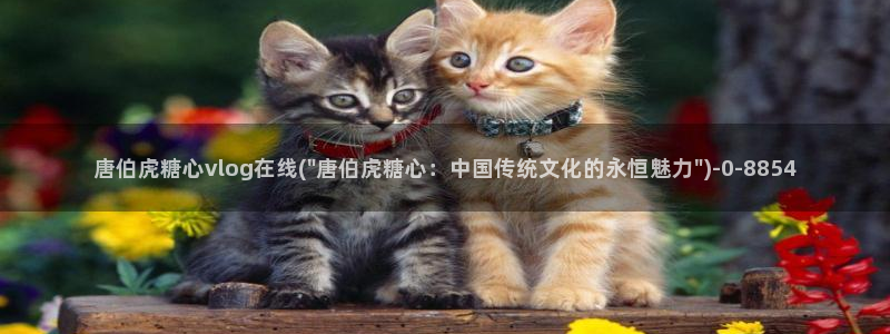 糖心vlog在