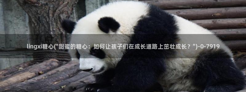 糖心vlog视频网站