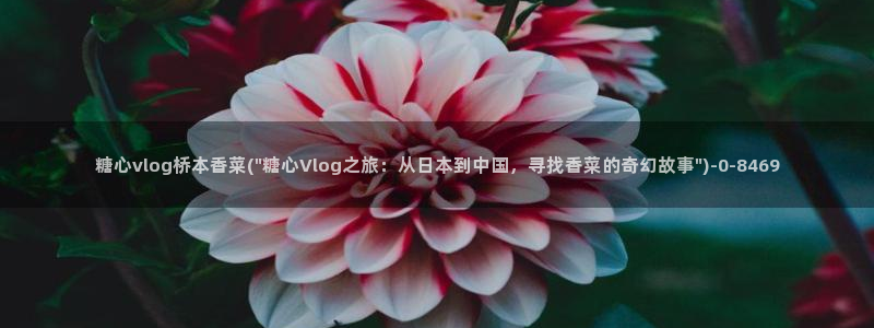 糖心在线播放vlog